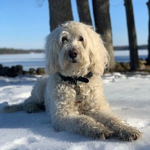 Meet your Posher, Lindsey